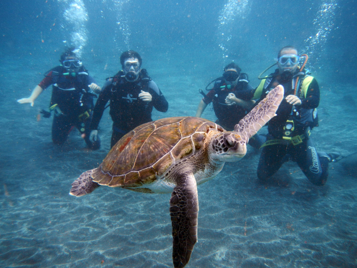 Excursion Scuba diving baptism in tenerife