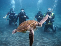 Scuba diving baptism in tenerife