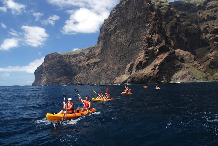 Excursion Cetacean watching & kayaking at los gigantes cliffs and masca