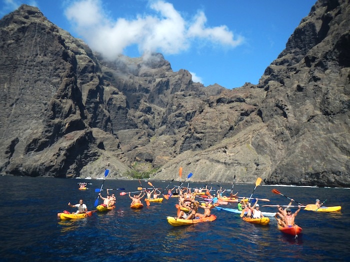 Excursion Cetacean watching & kayaking at los gigantes cliffs and masca