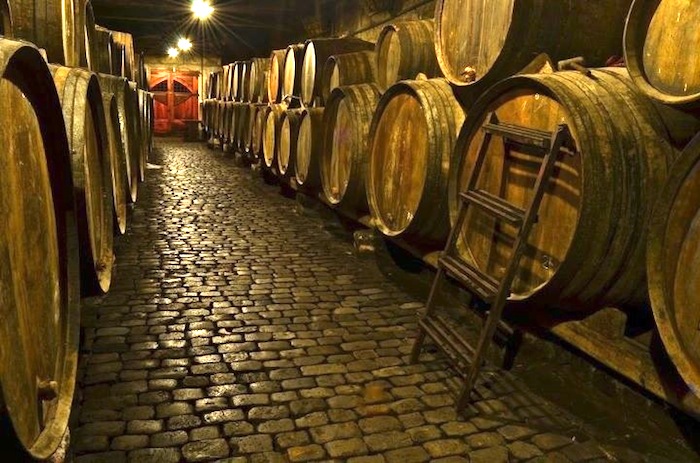 Excursion Guided tour + wine tasting at the bodegas monje winery
