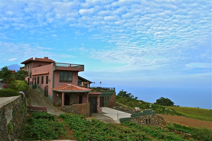 Excursion Guided tour + wine tasting at the bodegas monje winery