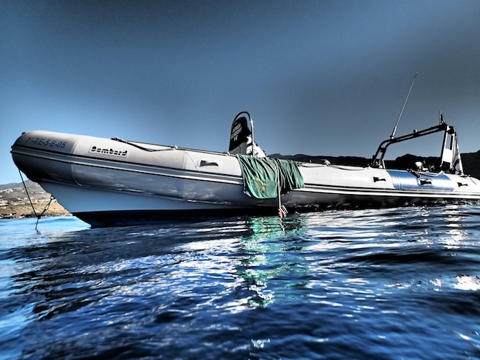 Excursion Cetacean watching on a small boat