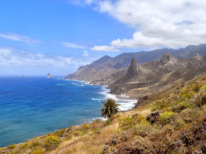 Excursion Anaga natural reserve & la laguna tour on minivan with guide