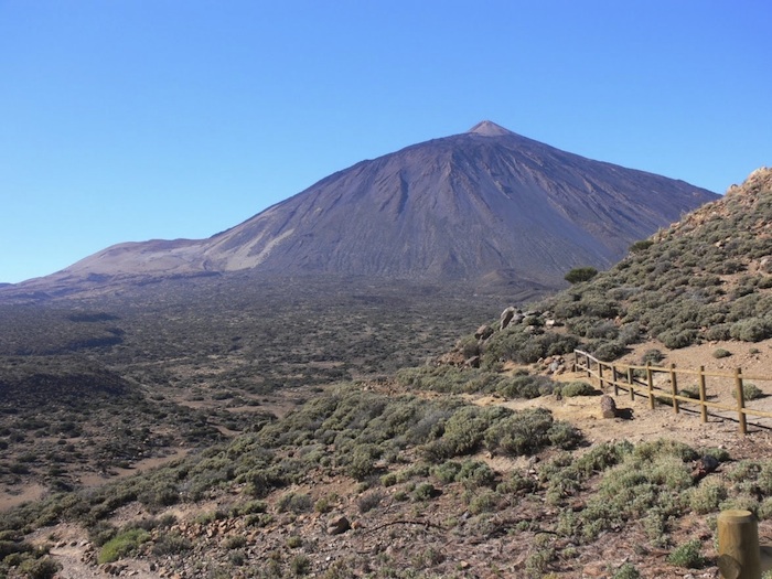 Excursion Teide national park by bus, with official guide