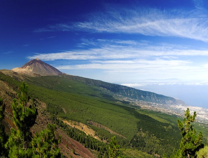 Excursion Teide national park and teno rural park in a minivan