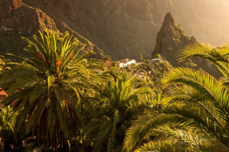 Excursion Descent of the masca gorge plus boat trip