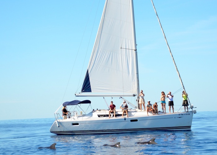 Excursion Whale and dolphin sighting in a sailboat
