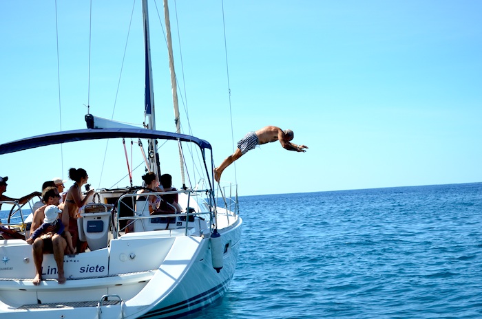 Excursion Whale and dolphin sighting in a sailboat