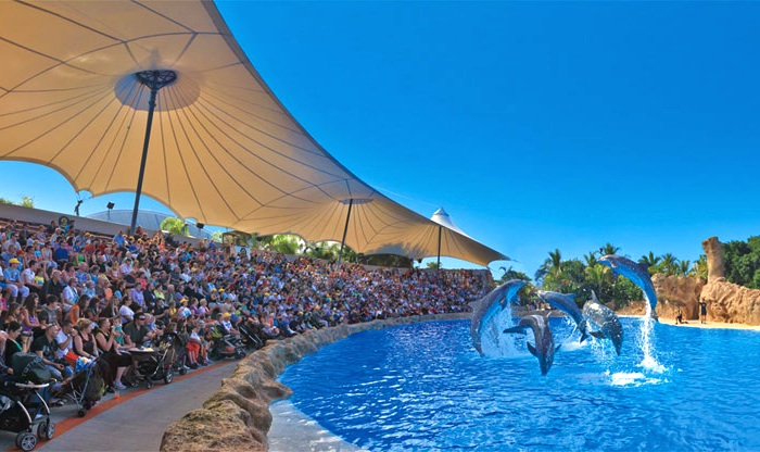 Excursion Loro park tickets