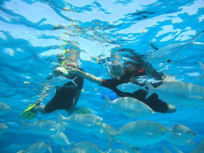 Excursion Tour around isla de lobos by catamaran