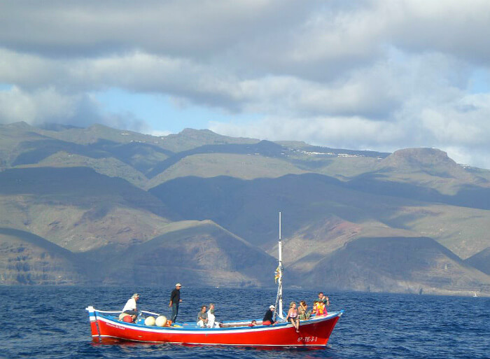 Excursion Whale watching in la gomera