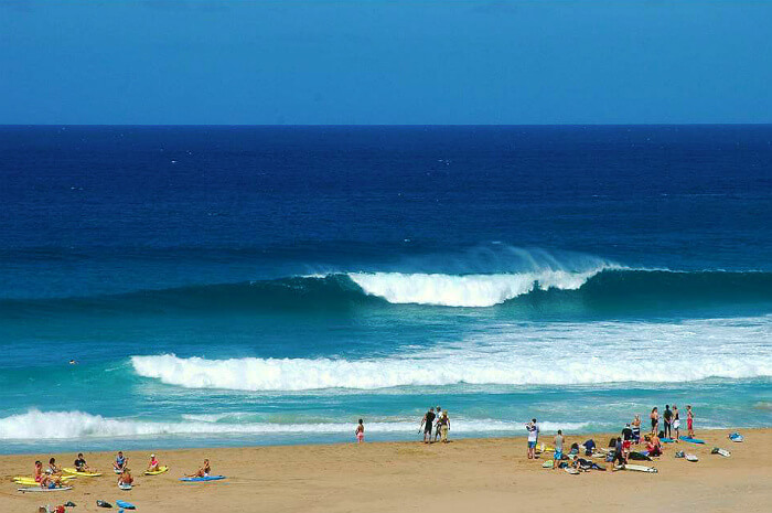 Excursion Surfing lessons in the north of fuerteventura
