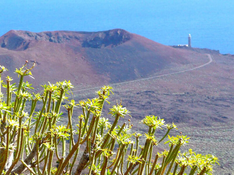 Excursion Themed hiking in el hierro