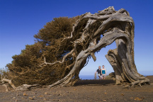 Tour by minivan plus short hiking