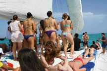 Whale and dolphin watching for single travellers