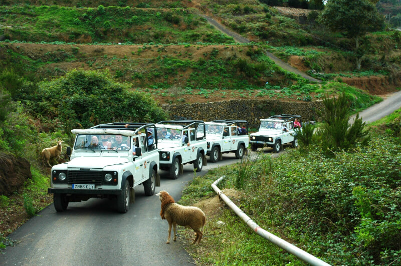 Excursion Visit to la gomera from tenerife on jeep